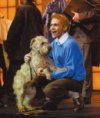 « Tintin et le Temple du Soleil » : le « musical » compromis ?