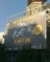 TRIBUNE LIBRE À Morgan Di Salvia : Tintin, de retour à la maison