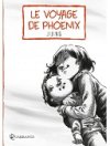 Jung et l'émotion du Phoenix