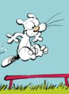 Tout le monde veut devenir un Katz