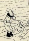 Tintin sera-t-il le roi de la BRAFA ?