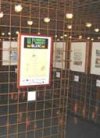 Charleroi 2005 : « Le Remords de l'Homme blanc ». Infos pratiques.