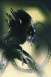 La Rentrée 2022 de Panini Comics