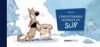 L'Insoutenable légèreté du slip - Par Gunter – Editions Bamboo