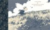 Une rainette en automne (et plus encore…) – Par Linnea Sterte – Éditions de la Cerise