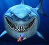Un record prénommé Nemo
