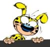 Festival Marsupilami à Pairi Daiza (Belgique)