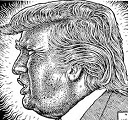 Le couple Crumb devise sur la civilisation et sur Donald Trump.