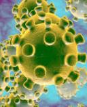 La bande dessinée atteinte par le Coronavirus