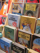 Casterman, Fluide Glacial et le groupe Flammarion rachetés par Gallimard ?