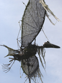 Sokal effraie les oiseaux