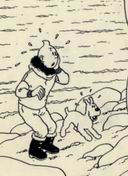 Tintin sera-t-il le roi de la BRAFA ?