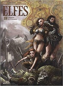 Elfes T. 19 : L'Hermite de l'Ourann - Par Corbeyran & Vukic - Soleil Celtic