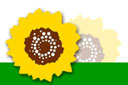 Les nominés du Prix Tournesol 2004