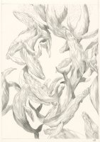 Planche 131 Mine de plomb sur papier, 27,7 x 20 cm