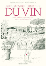 L'incroyable histoire du vin - Par Benoist Simmat et Daniel Casanave - Les Arènes BD