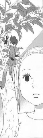 Chiisako Garden - Par Yuki Kodama - Vega