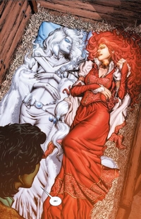 Fairest T1 - Par Bill Willingham et Phil Jimenez (trad. Nicole Duclos) - Urban Comics