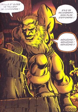 ElfQuest T5 – La fin du « Cycle des origines » - Par Wendy et Richard Pini – Snorgleux Comics