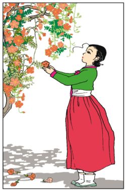 Nuits de noces - Par Kim Dong-Hwa (traduction Kette Amoruso) - Casterman