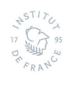 Cité de la BD d'Angoulême : Les enjeux de la « Fondation Cité du 9e Art »