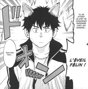 Félin pour l'autre - Par Wataru Nadatani - Doki Doki. La fin d'une série miaouesque !