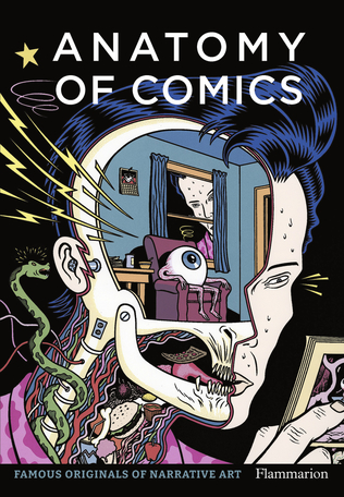 Anatomy of Comics - par Damien Macdonald - Flammarion