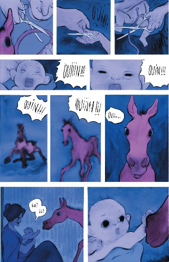 Tempête au haras - Par Chis Donner et Jérémie Moreau - Editions Rue de Sèvres