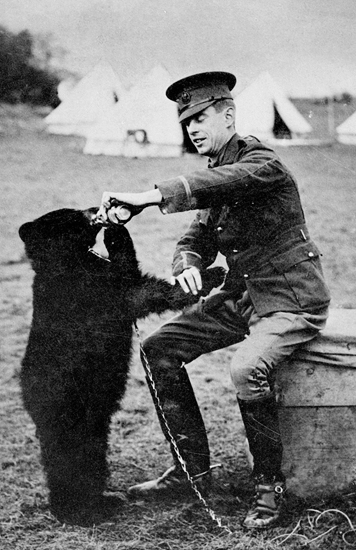 100 ans de Winnie : Retour sur la grande aventure d'un ours avec très peu de cervelle