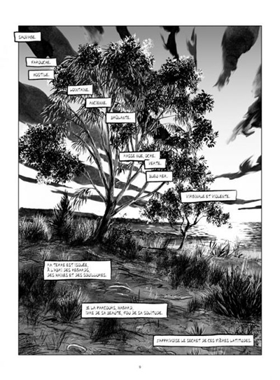 La fabuleuse épopée de la colonisation de l'Australie