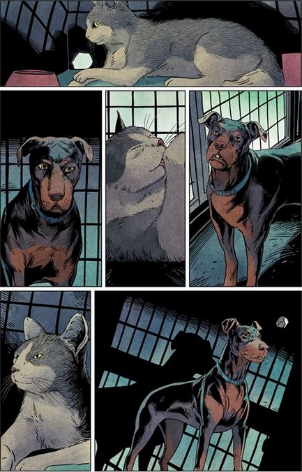 La Fourrière des animaux – Par Tom King & Peter Gross – Éd. Panini Comics