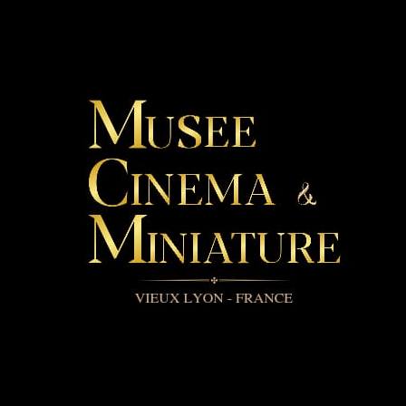 Le Chevalier Noir fait sa loi à Lyon