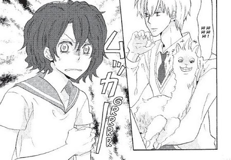 Kurogane Girl & the Alpaca Prince T1 & T2 - Par Kokoro Natsume (trad. Julie Gerriet) - Soleil Manga