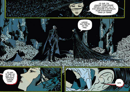 Pretty Deadly - Par Kelly Sue DeConnick et Emma Ríos (Trad. Eloïse de la Maison) - Glénat Comics
