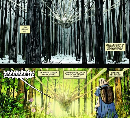 Fairest T2 - Par B. Willingham, L. Beukes, I. Miranda et B. Kitson (Trad. Nicole Duclos) - Urban Comics