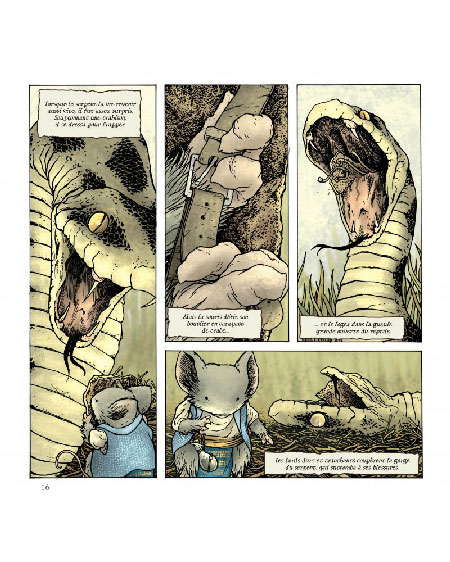 Légendes de la garde - Baldwin le brave et autres contes - Par David Petersen - Gallimard