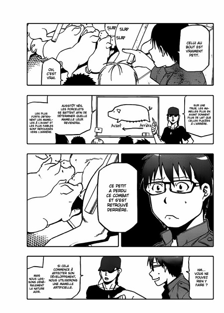Silver Spoon T9 - Par Hiromu Arakawa - Kurokawa