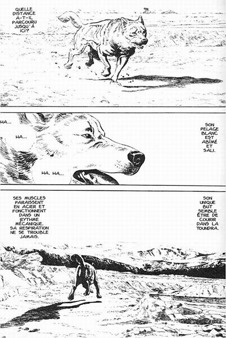 (Le Chien) Blanco : 4 volumes - Par Taniguchi - Casterman Sakka
