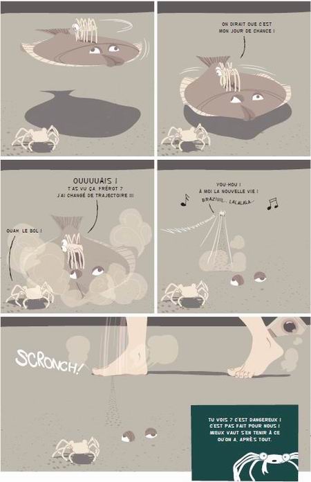 La Marche du crabe, T1 : la Condition des crabes - Par Arthur de Pins - Soleil Noctambule