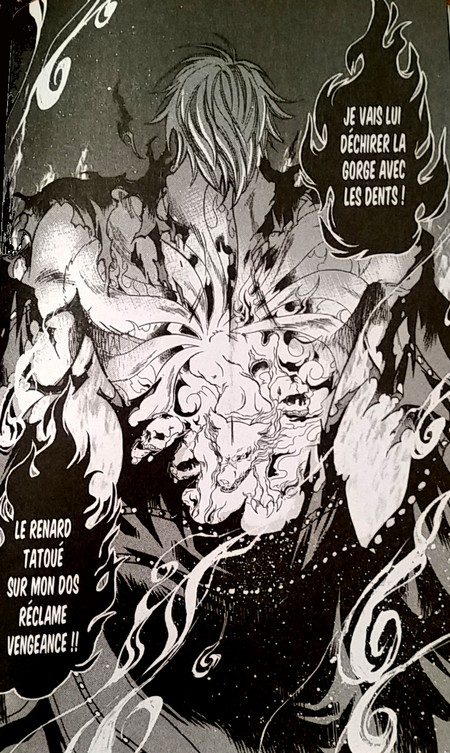 Saint Seiya The Lost Canvas Chronicles T6 - Par Shiori Teshirogi (Trad. Pierre Giner) - Kurokawa