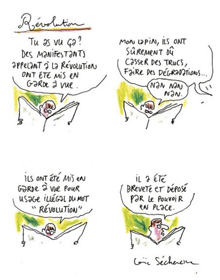 Cyril Pedrosa et Loïc Sécheresse (Carnets de manifs) : « Saisir la vérité de l'instant… »