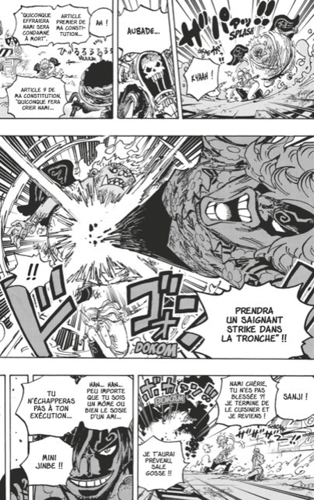 One Piece (T.107) : des révélations sur la signification du « D. » ? 