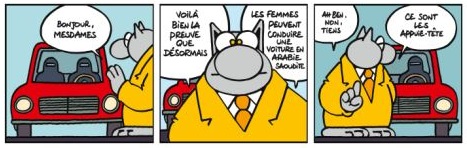 Le Chat fait la Rumba... et se customise pour ses lecteurs !