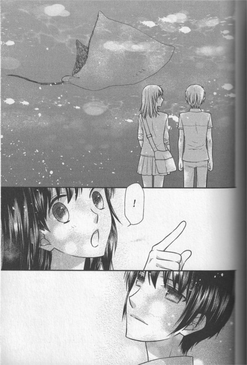 Fruits Basket Another T3 - Par Natsuki Takaya - Delcourt/Tonkam