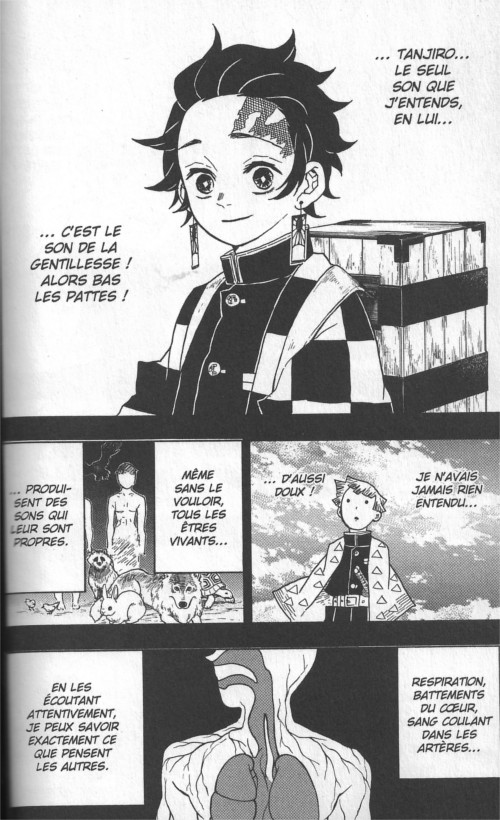 Demon Slayer T4 - Par Koyoharu Gotouge - Panini Manga
