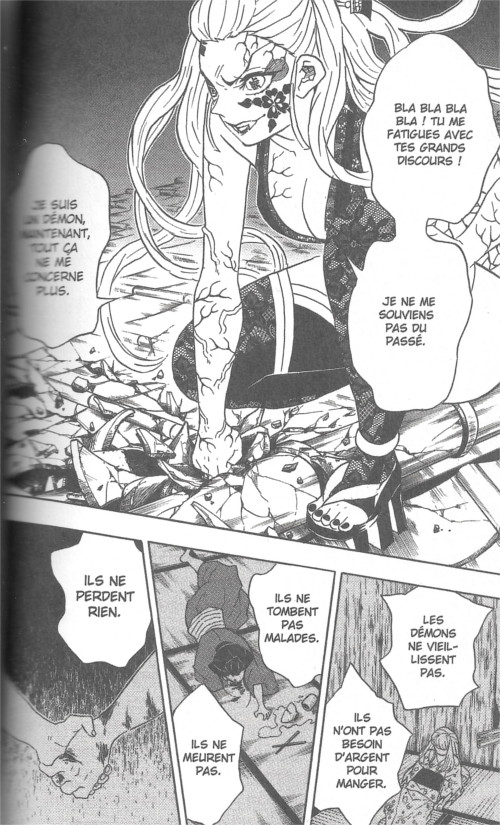 Demon Slayer T. 10 - Par Koyoharu Gotouge - Panini Manga