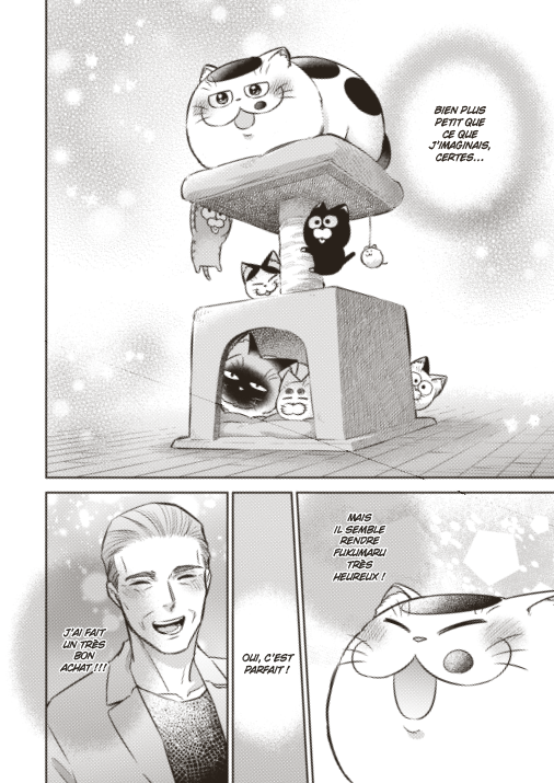 Le Chat qui rendait l'homme heureux T. 12 - Par Umi Sakurai - Ed. Soleil Manga