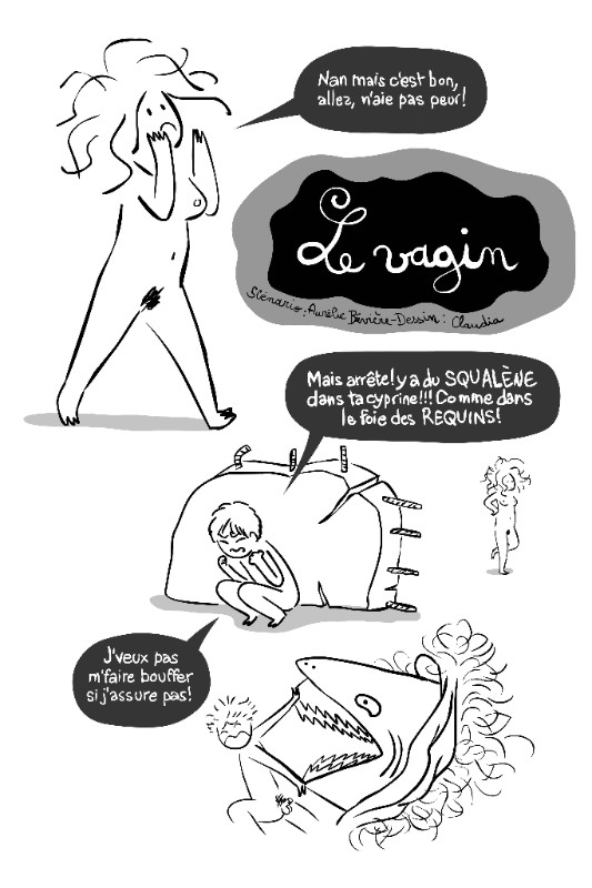 "Féministes" (Vide Cocagne) : des récits militants éclairés et éclairants