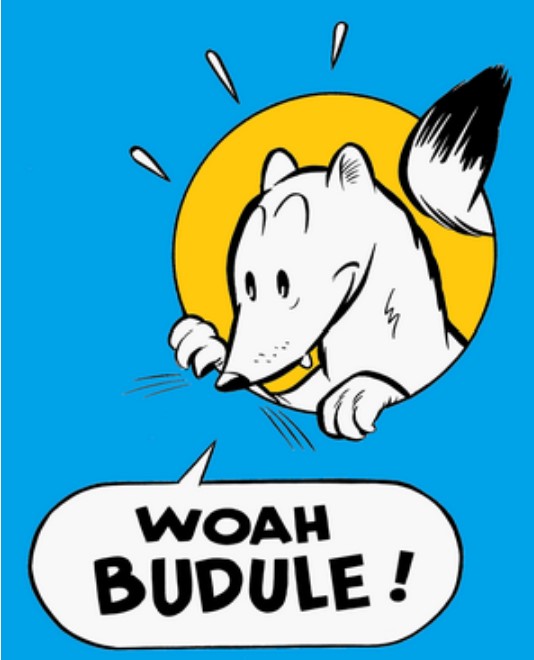 Budule : le vinted spécialisé en BD tient la forme