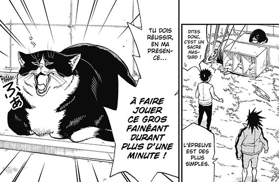 Félin pour l'autre – Par Wataru Nadatani – Ed. Doki-Doki. Un récit dopé à l'herbe à chats frelatée.